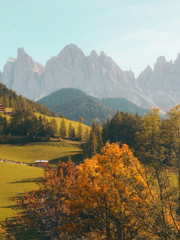 Taverns and Traveling Natures 02