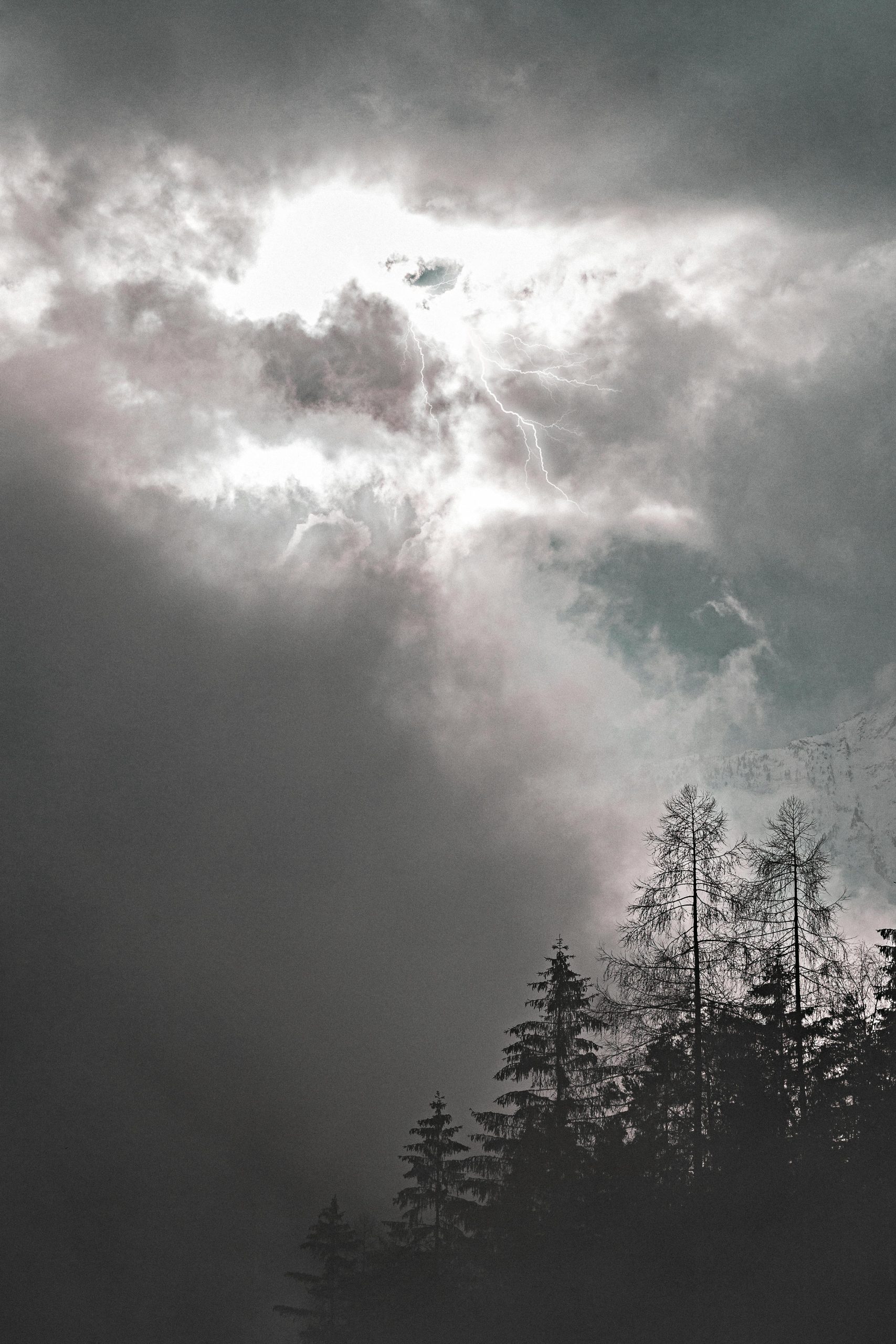 The World A dramatic display of clouds, light, and forest showcasing a stormy sky.